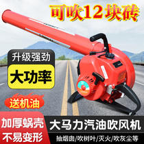Lin Hai wind fire extinguisher high power portable forest fire extinguisher fallen leaf construction site snow blowing gasoline hair dryer
