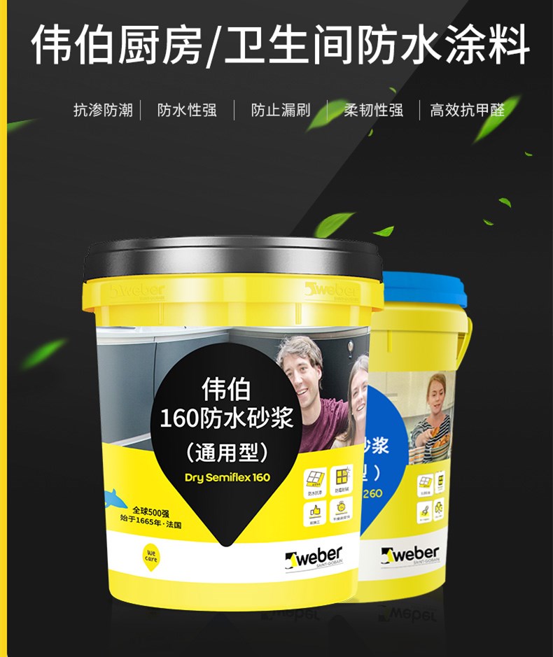 Special anti-aqua mortar decoration coating for Saint-Gobain Viber's high-efficiency flexible mildew-proof moisture-proof balcony make-up room