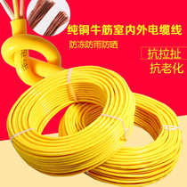 Pure copper cable outdoor power cord 2-core wire cord home wire 1 5 square 2 5 square sheath cable