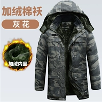 SD Black Flower и Velvet Clogened Colece Colden Clogned Colden Clogned Clogned Colden