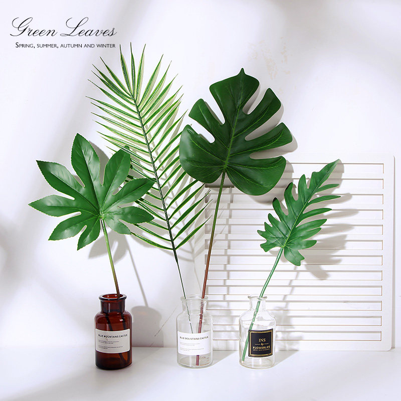 Emulated leaves Photographed Props Tortoise Back Leaf Coconut Trees Green Planting Photo Quietly Creative Camera Gourmet Photography Props Photogenic Props Photogenic Photographic Props Photogenic Photographic Props Photogenic Photographic Props