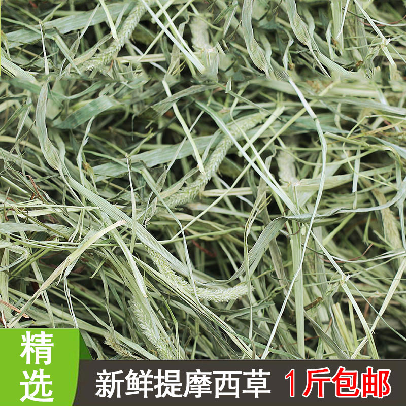 Timothy grass rabbit pasture hay guinea pig chinchan grass grain rabbit grass feed Dutch pig grass rabbit grain rabbit grass