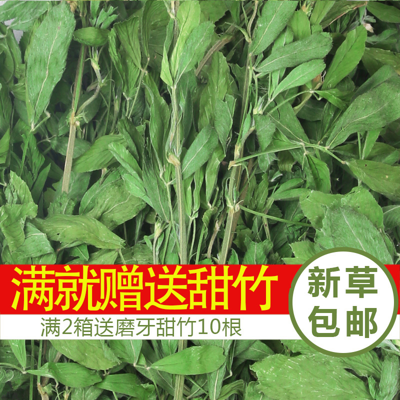 紫花苜蓿草兔糧兔子草糧兔子乾草荷蘭豬龍貓牧草飼料兔子吃的草