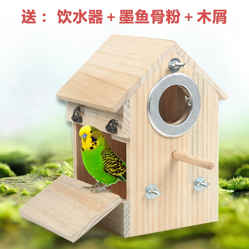 Budgerigar rắn gỗ chăn nuôi hoa mẫu đơn Xuanfeng chim yến ấm lồng ấp hộp lồng chim lồng phụ kiện cung cấp - Chim & Chăm sóc chim Supplies