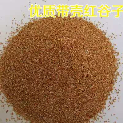 Tiger skin parrot feed bird food Xuanfeng millet peony millet wenbird with Shell red millet beanbird grain 250g