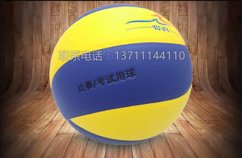 Ballon de volley - Ref 2014490 Image 17