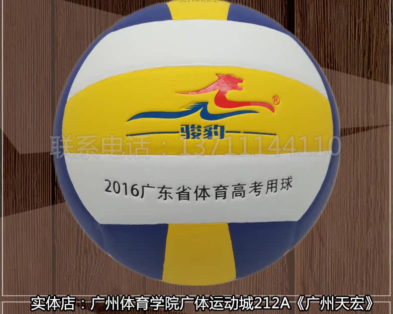 Ballon de volley-ball - Ref 2011267 Image 8