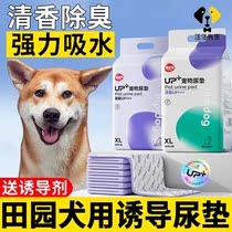 Zhonghua Dog Pet Suction Pad Guided Pet Suction Paper Induced Depot Pad for Disposable Pad
