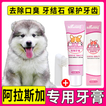 Alaska Dog Toothpaste with odor for pet toothbrush large dog to toothbrush finger suit