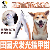 Field dog special small dog dog nail clippers anti-bleed nail clippers with blood line pet supplies Grand total