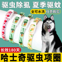 Hasky Special Dog Infiltration Removal Neck Removal of Fla Removal Cleanse of Defense Ring Puppies