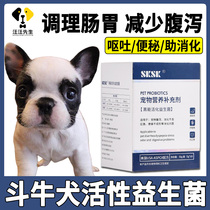 Bullfighter conditioning stomach eating probiotic powder dogs puppies pulling stomach constipation pet nutritional supplements