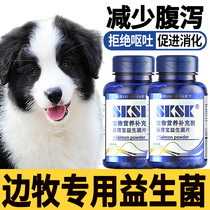 Large-scale adult dogs eaten by marginal pastoral probiotic tablets for gastroenteric puppy diarrhea and vomiting dogs