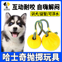 Hasky Dog Bits Hastily Bit Toys Image Dementing Artificial Hardy Hanging Big Outdoor Interactive Ball