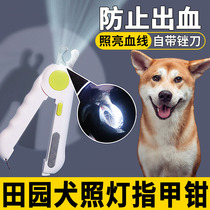 Chinese Tianjin Dog special nail claw claw toenails with bleeding nails cut blood line