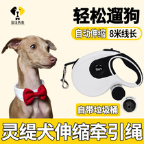 Hearty Special Slip Dog Traction Rope Cute Mesh Red Large Dog Adjustable Automatic Telescopic Pet Walk Dog God