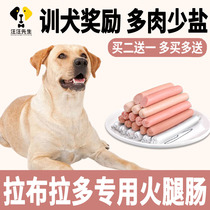 Labrador Pets Private Leg Sausage Puppies Eat food puppies reward snacks for 2 months Nutritious Food