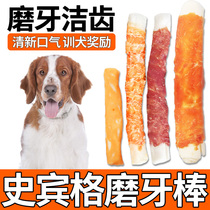 Spinger puppy rewards snack puppy two or three months old dog switching teeth stick to bite cleaning teeth