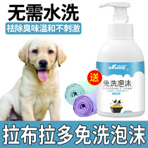 Labrador Puppy dog puppies free of theorist pets Special dry lotion Anti-Itch Foam Chamombo Foam shower gel