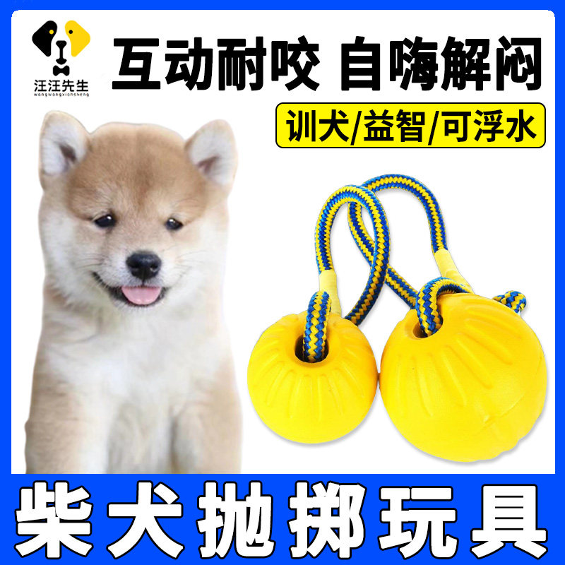 Diesel dog himself plays toy-yield dissipation artificial self-hi ball tear-resistant outdoor interactive ball small dog