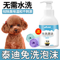 Teddy Pooch Puppies Free of Divine Instrumental Pet Store Exclusive Dry Cleaning Foam Anti-Itchy Smell Shampoo SHAMPOO BUBBLE FOAM