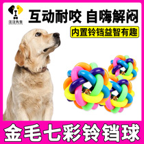 Golden dogs themselves play with consumption of physical puzzle toys self-hi dehydrator large dog interactive colorful ball