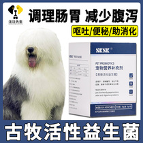 Ancient Pastoral Treatment of Gastrointestinal Eating Probiotic Powder Dogs Puppies Pulling Belly Substitution Pet Nutritional Supplement