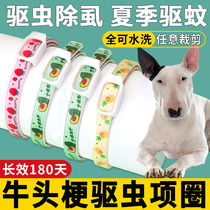 The Dogs Extra-insecticide-repellent neck for Bullhead Terrier Removal of Flea Removal Removal of Flea Removal