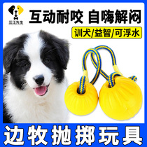 Dog Dog Yourself plays toy-yield dissipation artificial self-hi tear-bite outdoor interactive ball large dog