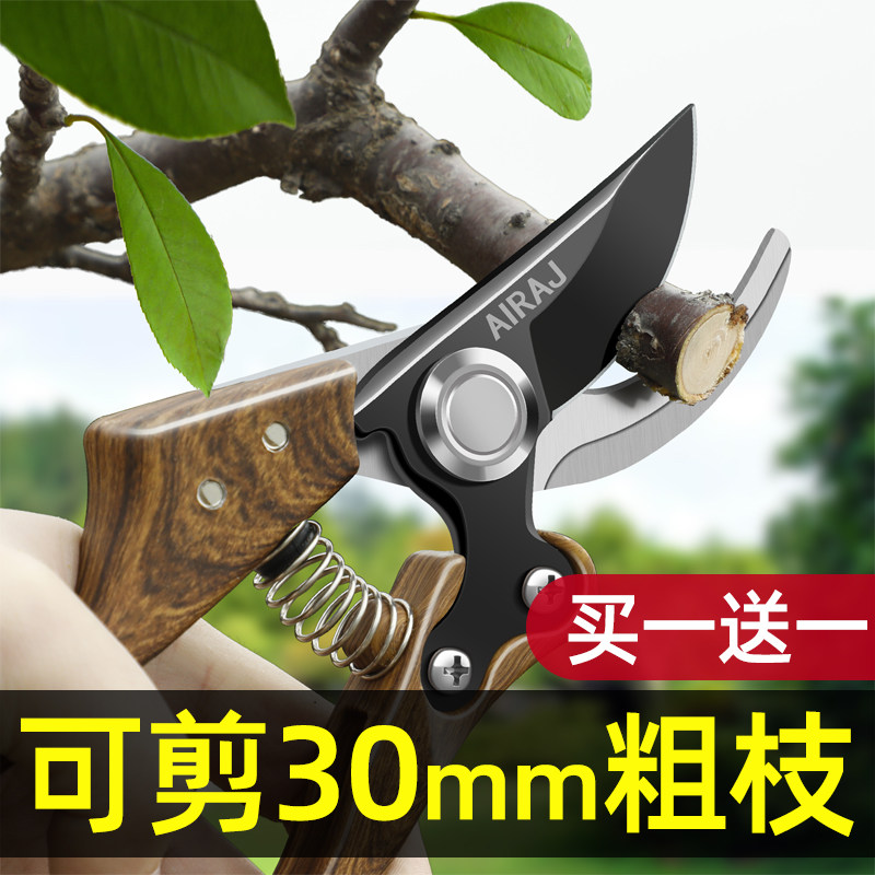 Pruning scissors Fruit tree pruning shears garden pruning branches Scissors flower shearing art branch shear special tools