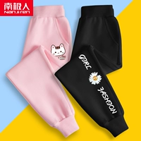 [2] Pink MM Cat K-Black/Письмо Chrysanthemum k