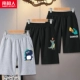 [3 хлопкового хлопка] серой/маленький динозавр K-Black/Spitfire Dragon K-Black/Dresser Dragon K