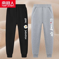 【Император Венера】 Письмо Chrysanthemum K/Black-Eyek/Grey
