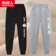 【Император Венера】 Письмо Chrysanthemum K/Black-Eyek/Grey