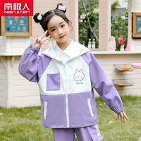 [1 кусок] chai xiaocun gbute-zi