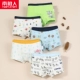 【5 Fit】 Animal Forest