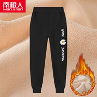 【1 Статья】 Алфавит Chrysanthemum K/Black 1