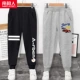 2 бар K+Chrysanthemum K/Black-Racing K/Grey