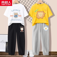 [2 комплекта] Bai/9 Bear+Yellow/Sun Lion+Black/Bear K+светло -серый/Chrysanthemum k