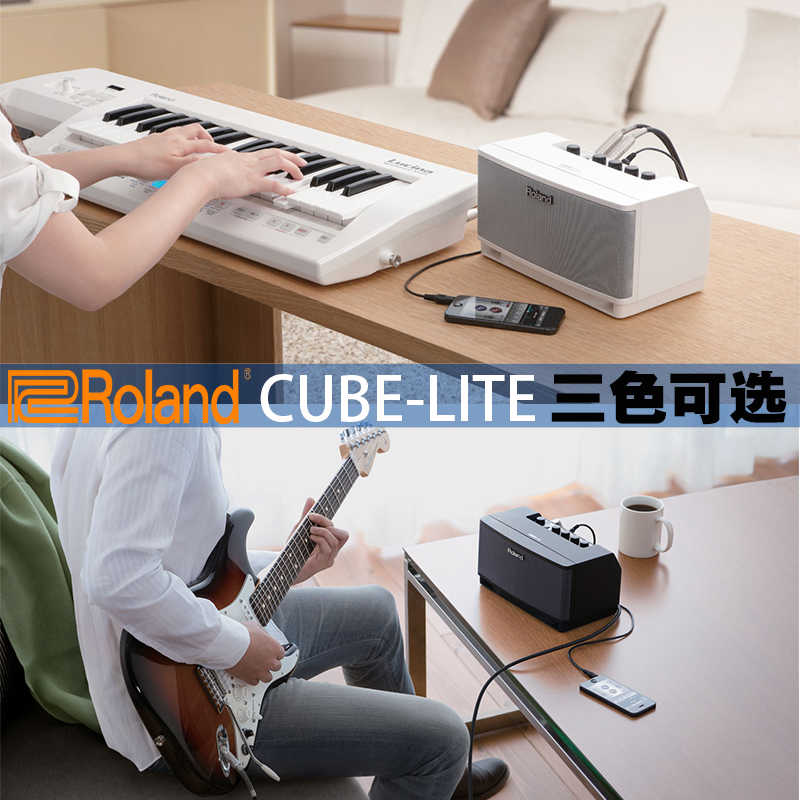 Roland CUBE-LITE MONITOR Roland Household Electric Guitar Keyboard Synthesizer stereo-listening speakers