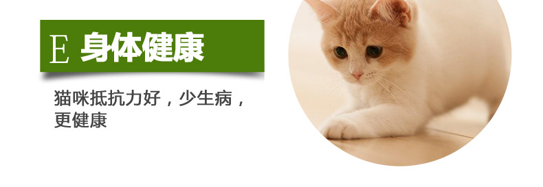 Bier Ginori thức ăn cho mèo toàn giai đoạn mèo con mèo chung hải sản muối thấp 1 kg gói nhỏ 500g - Cat Staples hạt cuncun cho mèo
