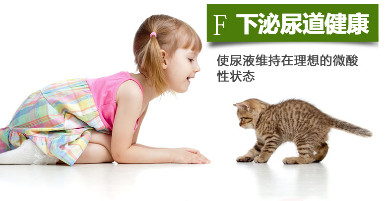 Bier Ginori thức ăn cho mèo toàn giai đoạn mèo con mèo chung hải sản muối thấp 1 kg gói nhỏ 500g - Cat Staples hạt cuncun cho mèo