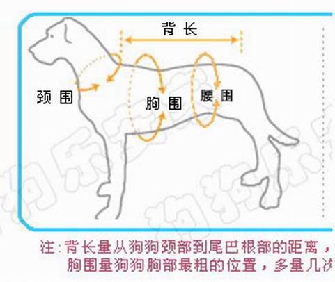 Pom-pom studio tự tay làm quần áo thú cưng quần áo Tokyo Giáng sinh diễu hành váy váy con chó lớn có một phần - Quần áo & phụ kiện thú cưng quần cho chó