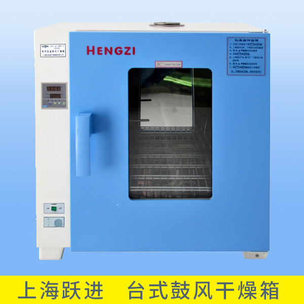 Shanghai Yuejin HGZF-9023 HGZF-9053 HGZF-9123HGZF-9203 HGZF-9123HGZF-9203 blast drying cabinet