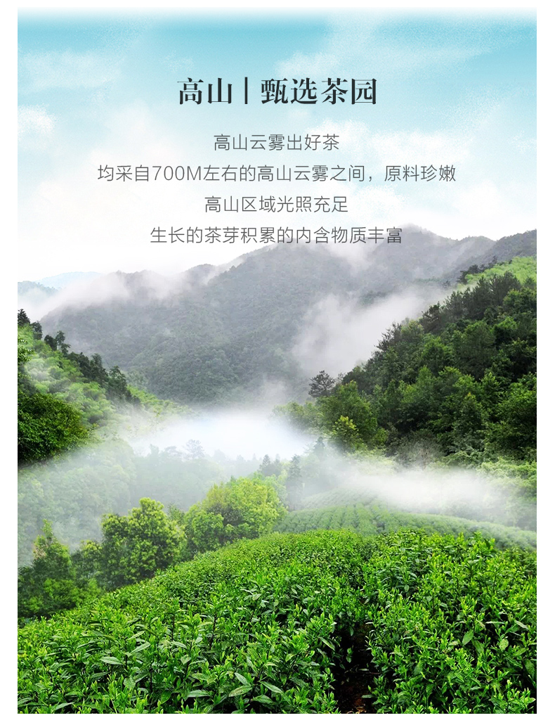 猴坑 太平猴魁春茶 30g 一芽二叶口粮茶 图6