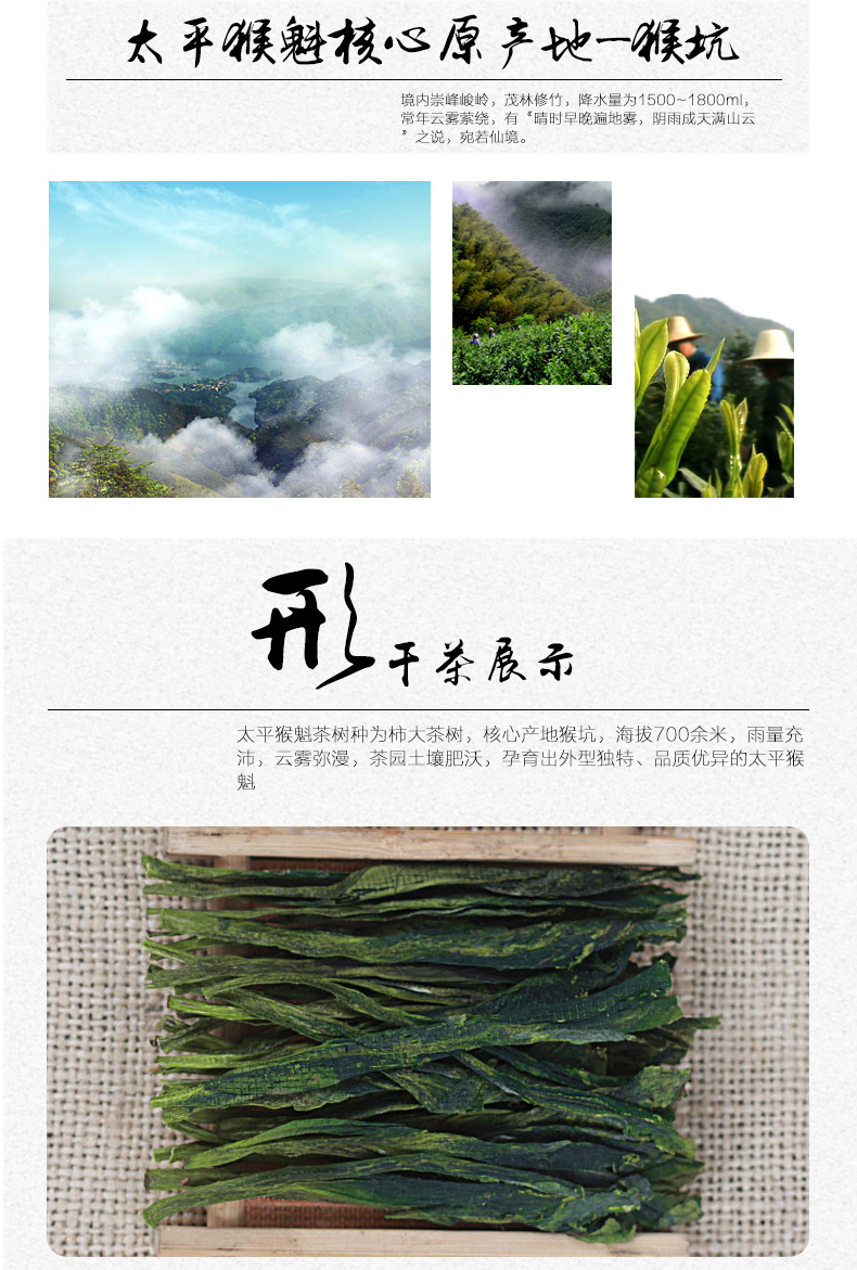中华老字号 猴坑 太平猴魁 蓝韵300 25g品鉴装 图6