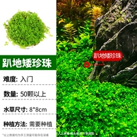 Лежа на земле