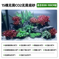 [15 деревьев] Нет CO2 не требует нижнего песка [подходит для цилиндра 60-80 см]]
