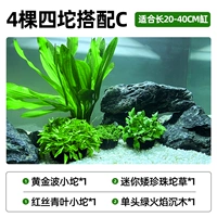 【4 деревья】 Situo с C 【, подходящим для цилиндра длиной 20-40 см】