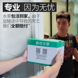 Рыбанка аквариума водные травы растительные ландшафтные блюда еда настоящая рыба